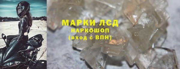 spice Осинники