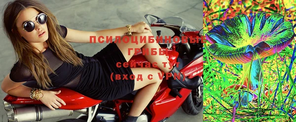 spice Осинники