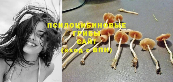 spice Осинники