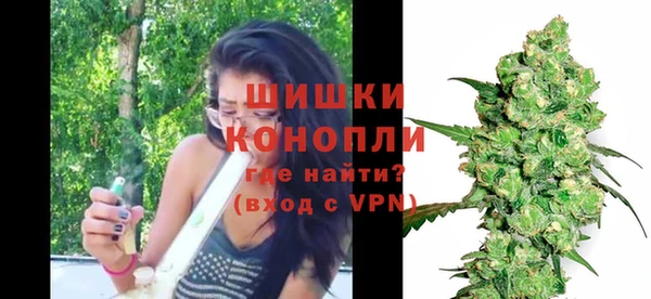 spice Осинники