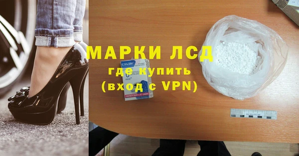 spice Осинники