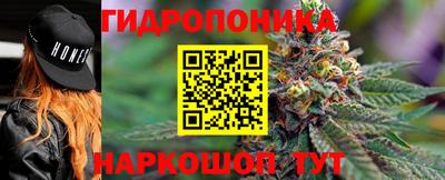 прущие крисы Балаково
