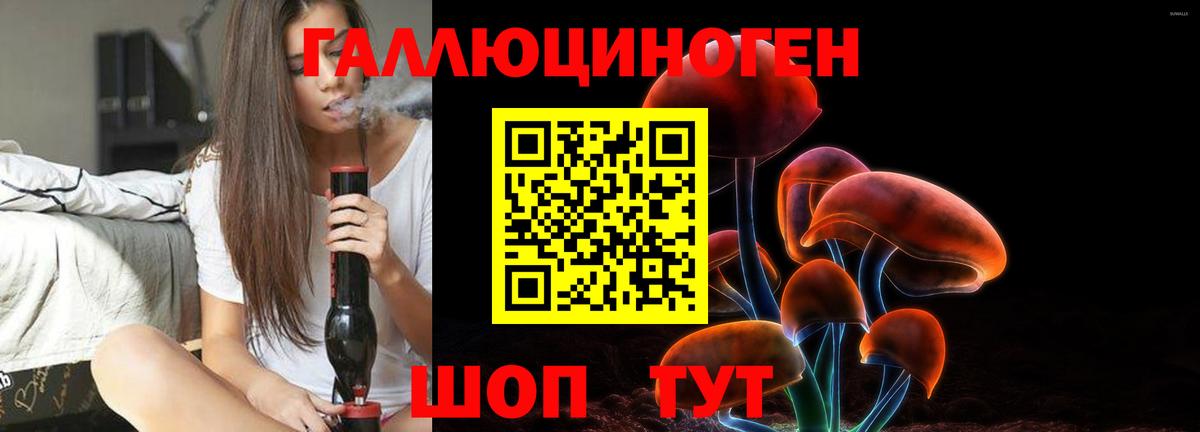 Богданович  Галлюциногенные грибы MAGIC MUSHROOMS  Псилоцибиновые грибы ЛСД  Вход с VPN 